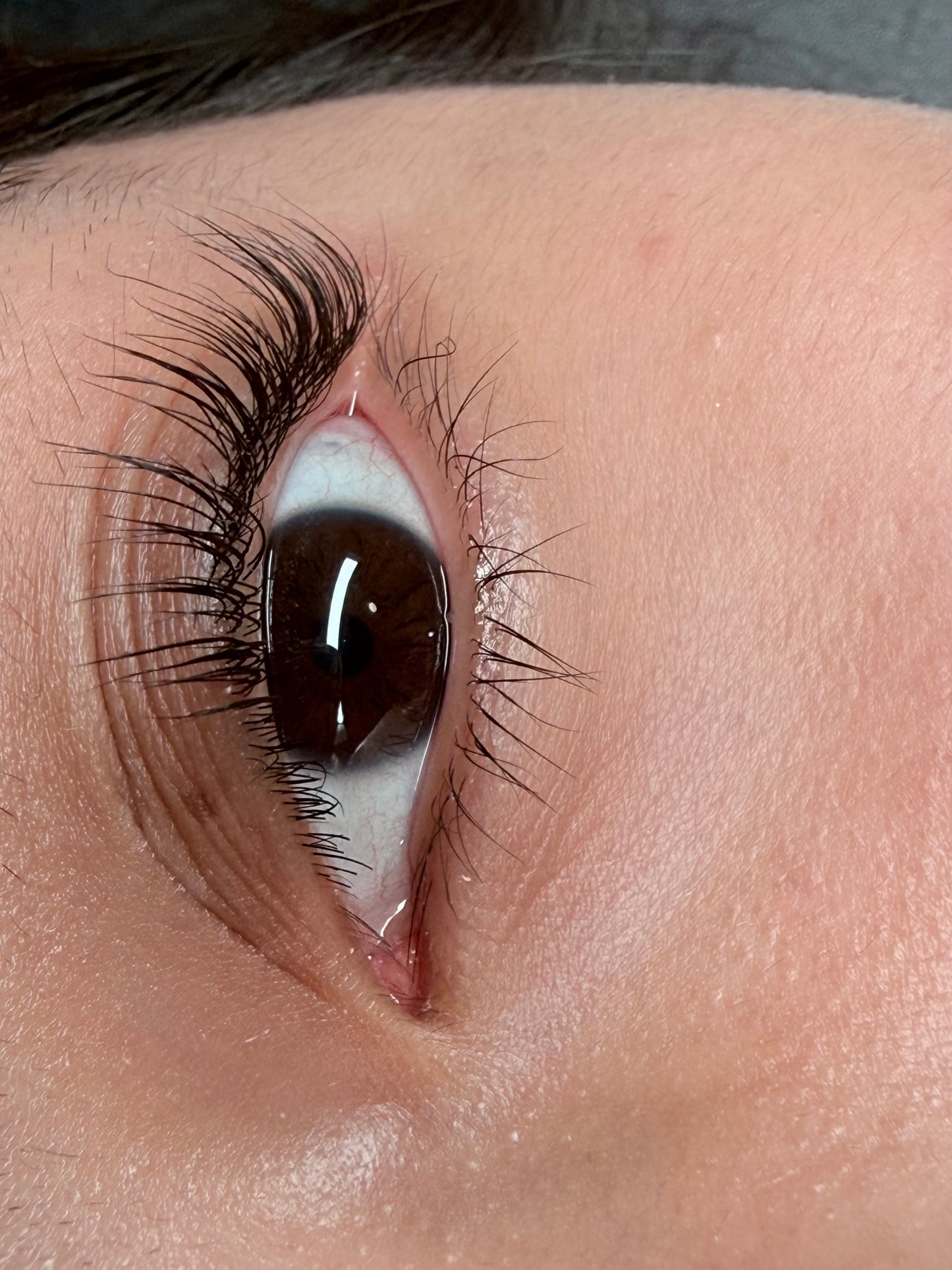 Lash lift